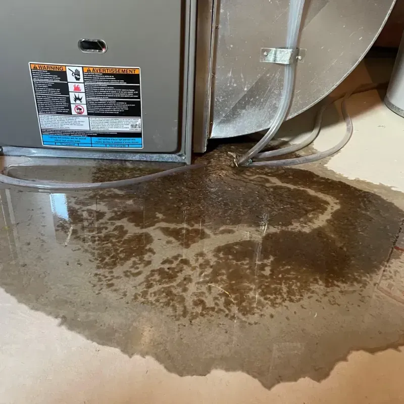 Appliance Leak Cleanup in Welch, WV